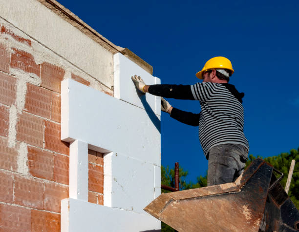 Best Cellulose Insulation in Brownlee Park, MI