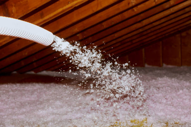 Best Insulation for Specific Applications in Brownlee Park, MI
