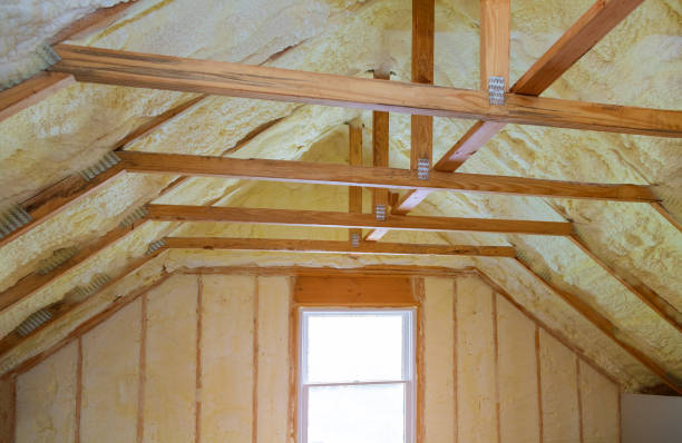 Types of Insulation We Offer in Brownlee Park, MI