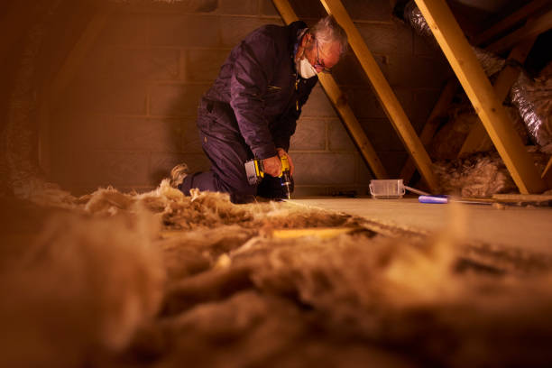 Best Insulation Maintenance and Repair in Brownlee Park, MI